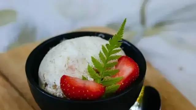 Glace à la vanille avec le Companion et la sorbetière
